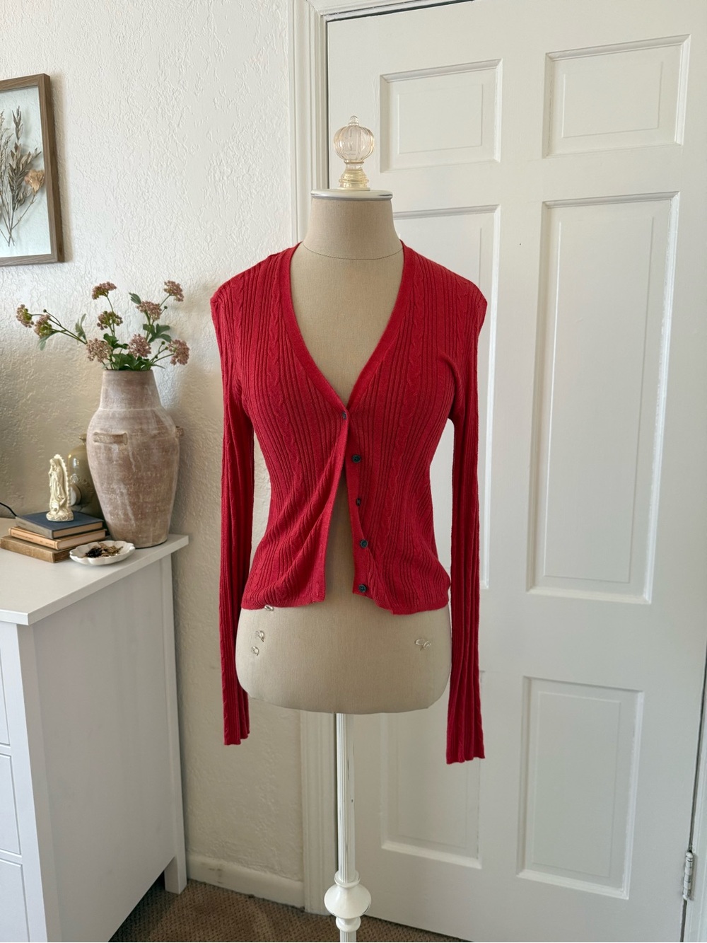 American Eagle Outfitters Red Ribbed V-Neck Button Cardigan